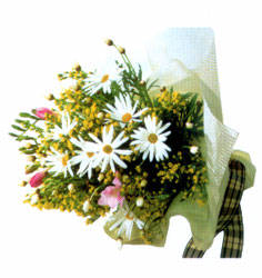 композиция из сухих цветов